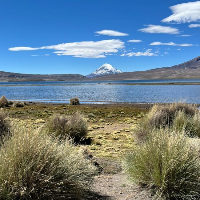Recorrido altiplano