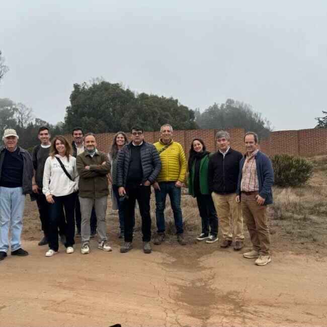 Grupo
