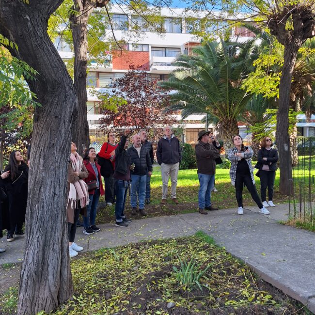 1 de junio 2024 – Villa Frei