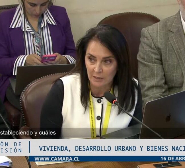 AOA en la Comisión de Vivienda de la Cámara de Diputados