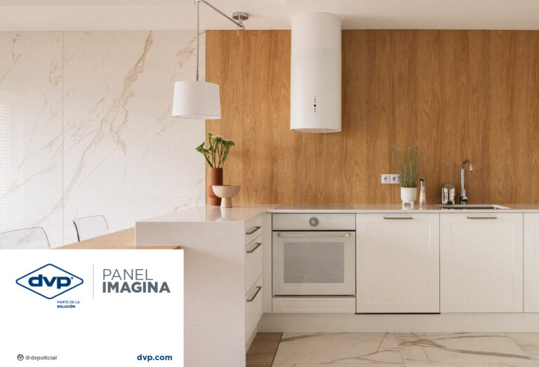 DVP | PANEL IMAGINA