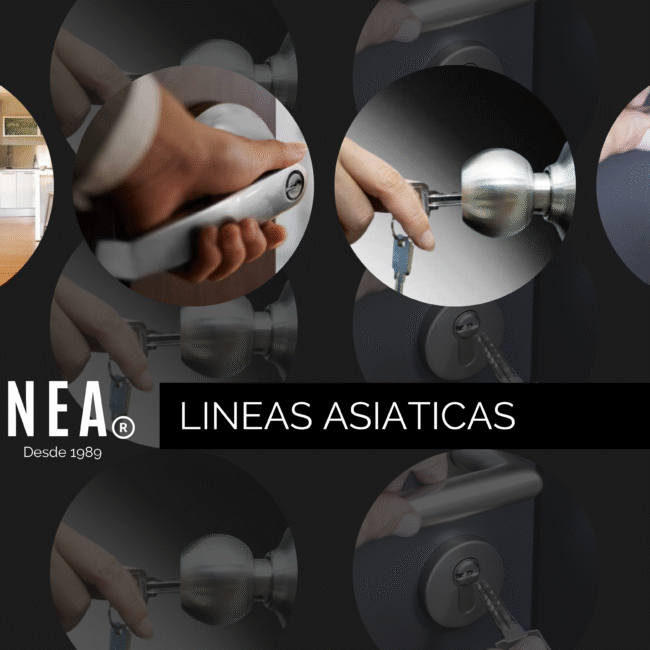 LÍNEAS ASIÁTICAS – ITALINNEA®