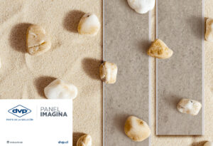 DVP | Panel Imagina