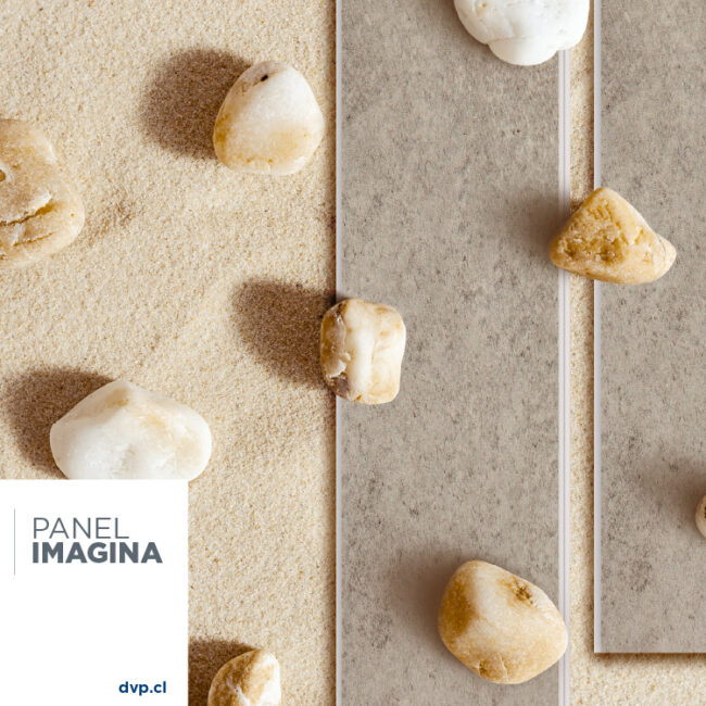DVP | Panel Imagina