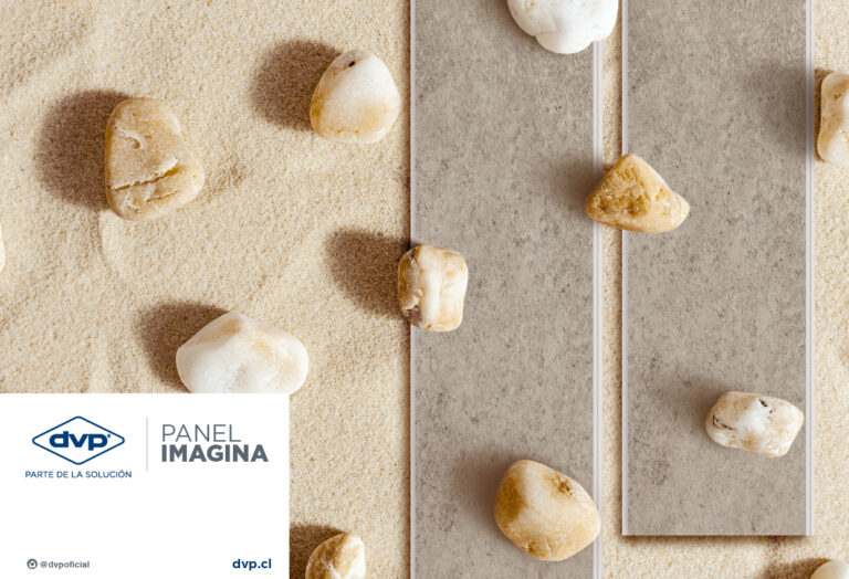 DVP | Panel Imagina