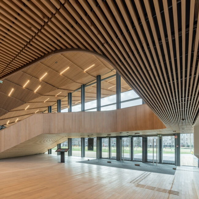 woodlines3