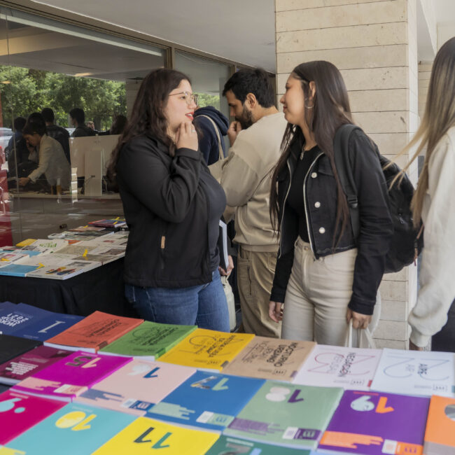 Chile Brasil en 5 dimensiones-081