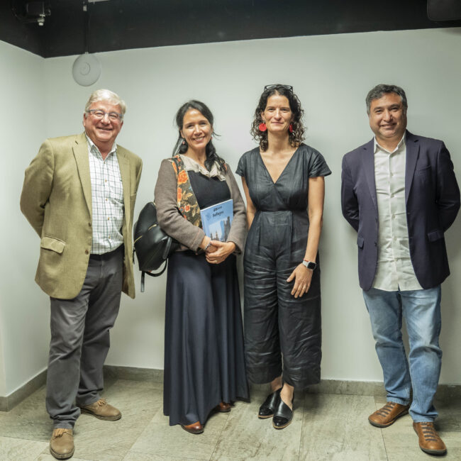 Chile Brasil en 5 dimensiones-227