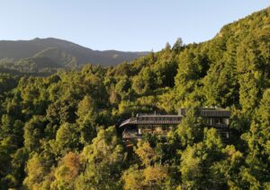 Obras de Asociados_ MW Arquitectos