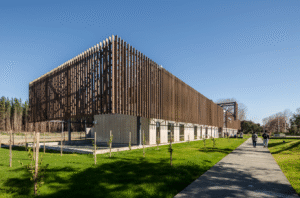 Hilam Arauco| Mantención de la madera laminada