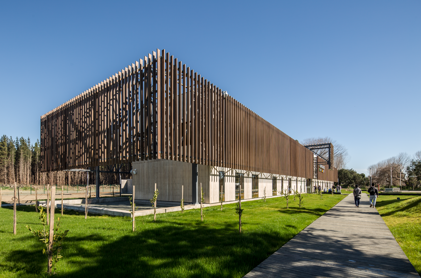 Hilam Arauco| Mantención de la madera laminada