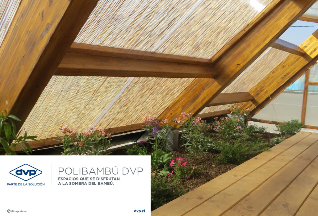 DVP | Espacios que se disfrutan a la sombra del bambú