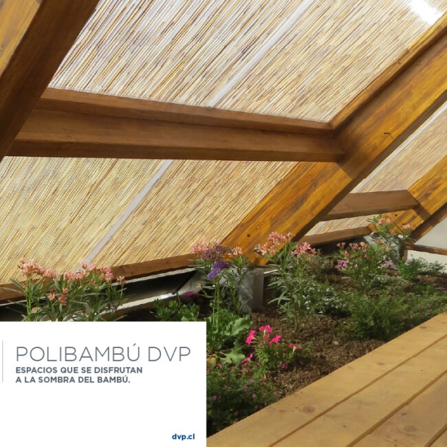 DVP | Espacios que se disfrutan a la sombra del bambú