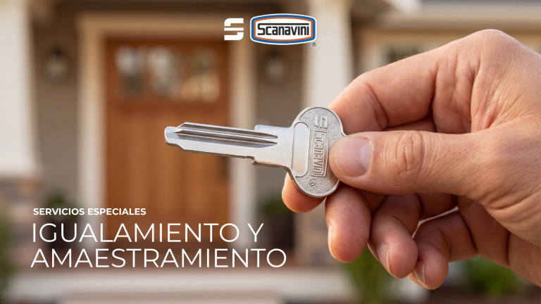 Scanavini | Servicios Especiales