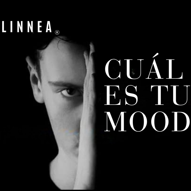 Italinnea | ¿cuál es tu mood?